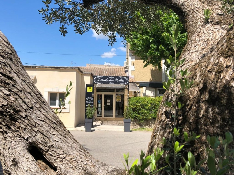 L'Escale des Alpilles - photo 5