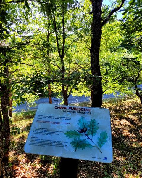 Arboretum_Saint-Félicien