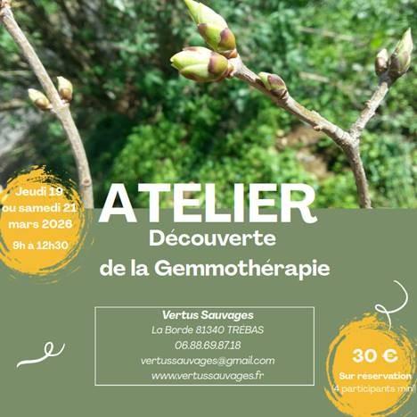 Atelier de la Gemmothérapie