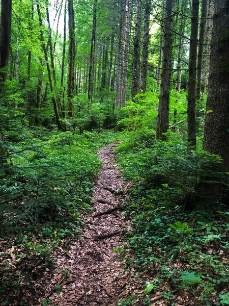 Randonnée du Grand Colombier depuis Munet