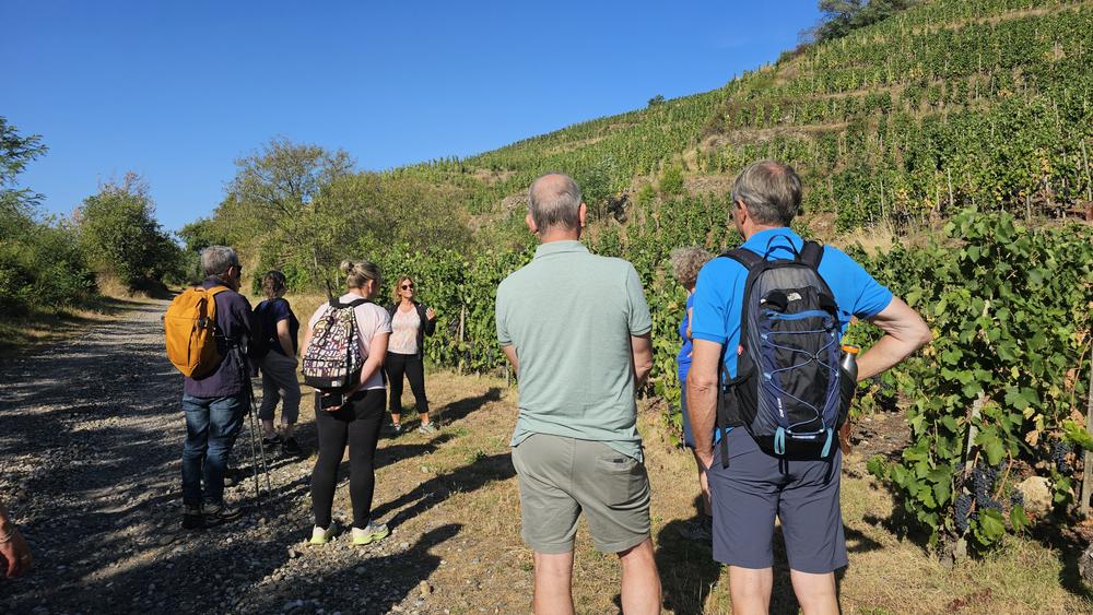 Rando Wine au Domaine François Grenier_Champagne