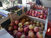 La Ferme des Grenouilles - Villeneuve-Loubet