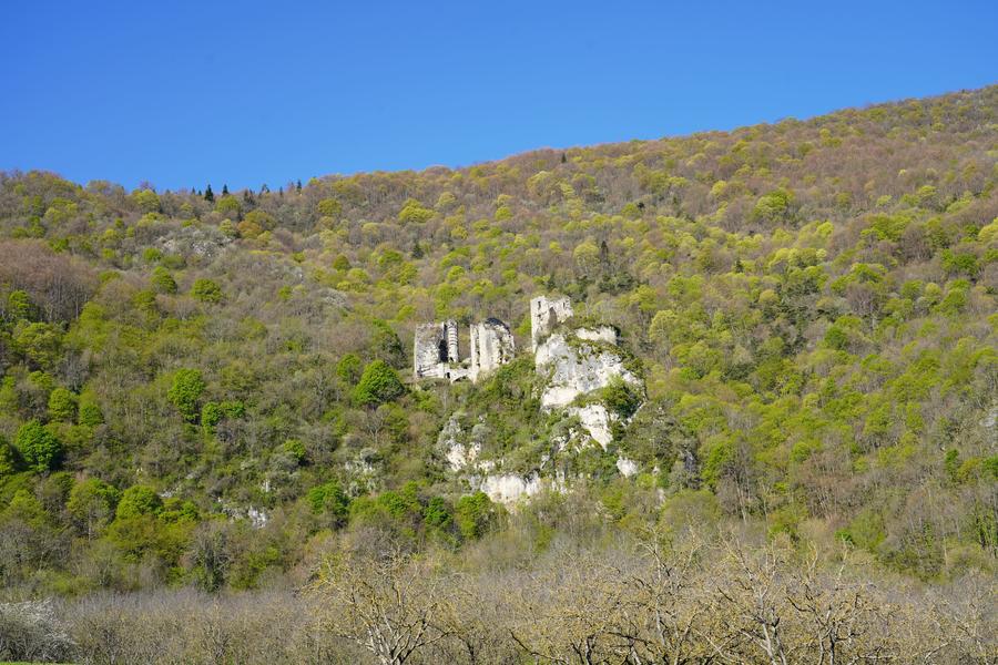 Ruines du château féodale au cœur de la forêt