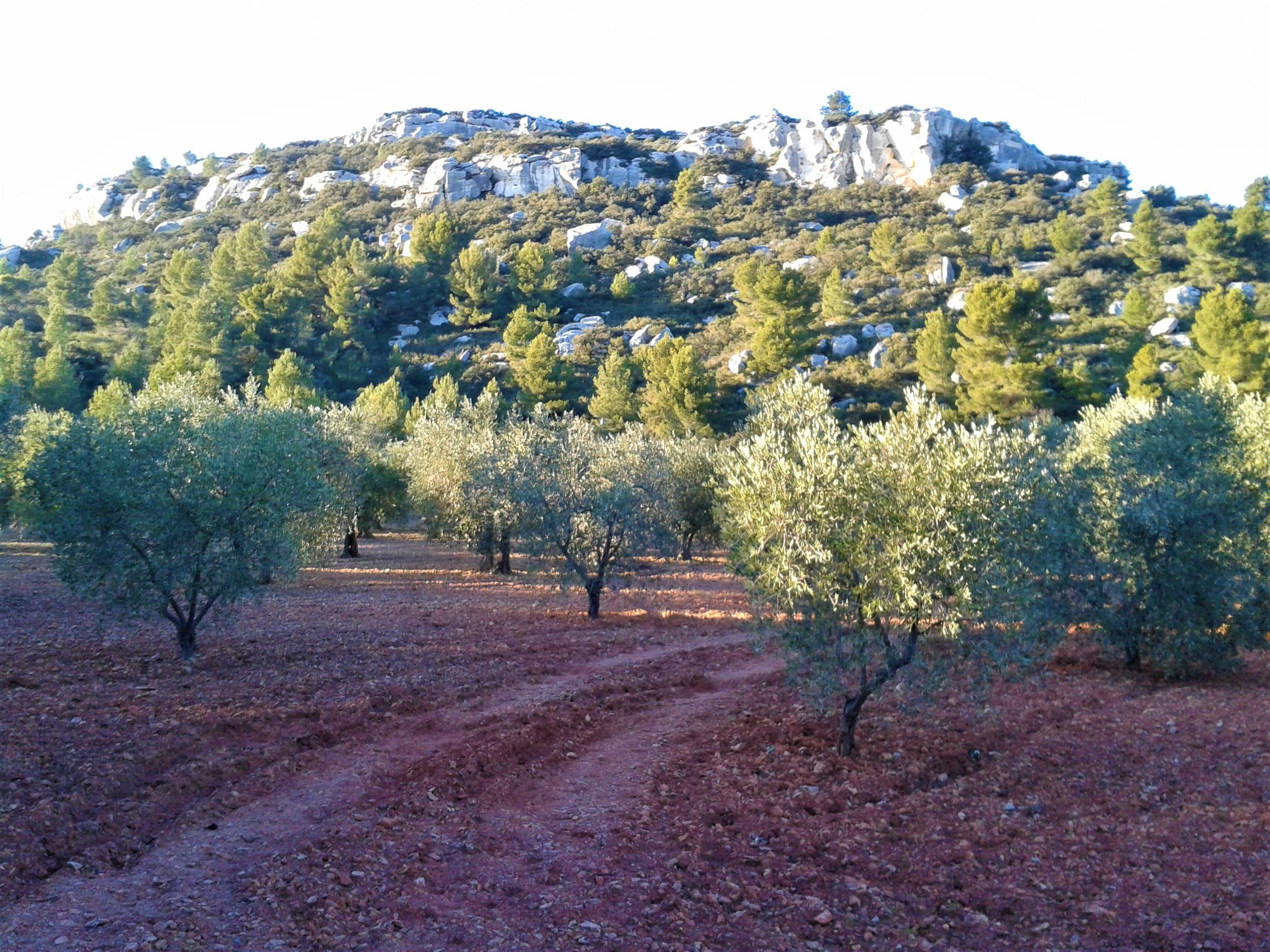 MAUSSANE-LES-ALPILLES - Vers les Baux-de-Provence — photo 3