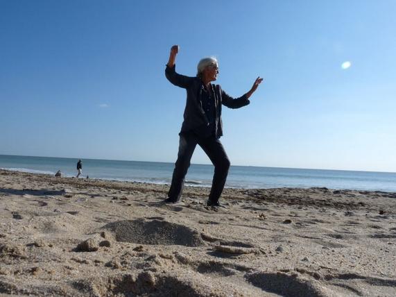 Cours et stage de Tai Chi intégral à Loix