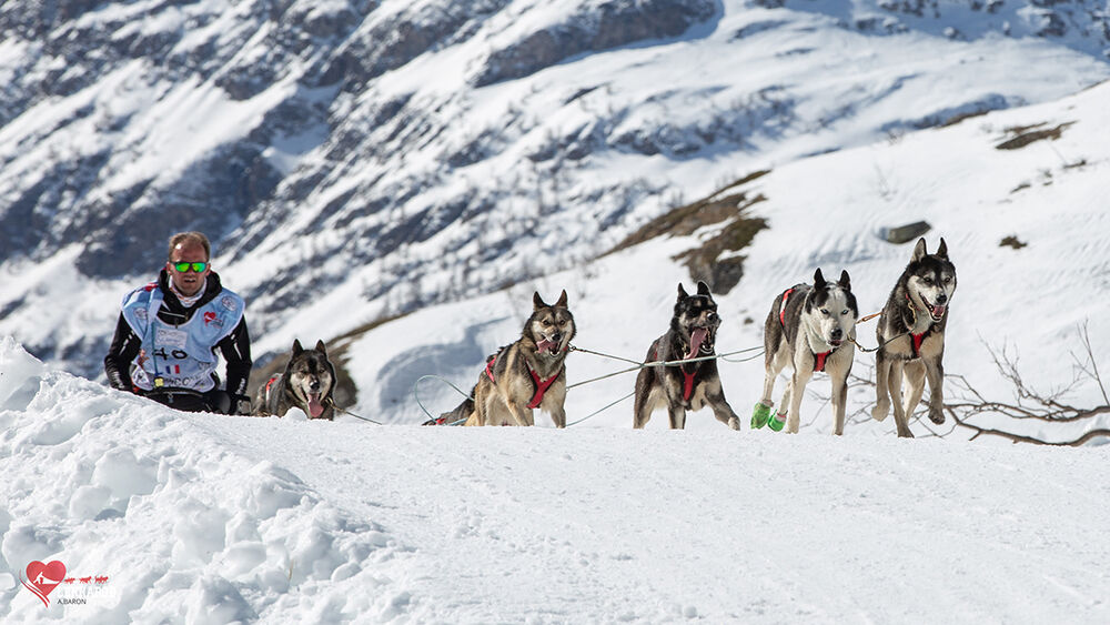 Lekkarod - Course internationale de chiens de traîneau