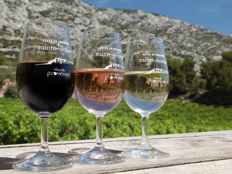 Domaine de Saint-Ser - photo 5