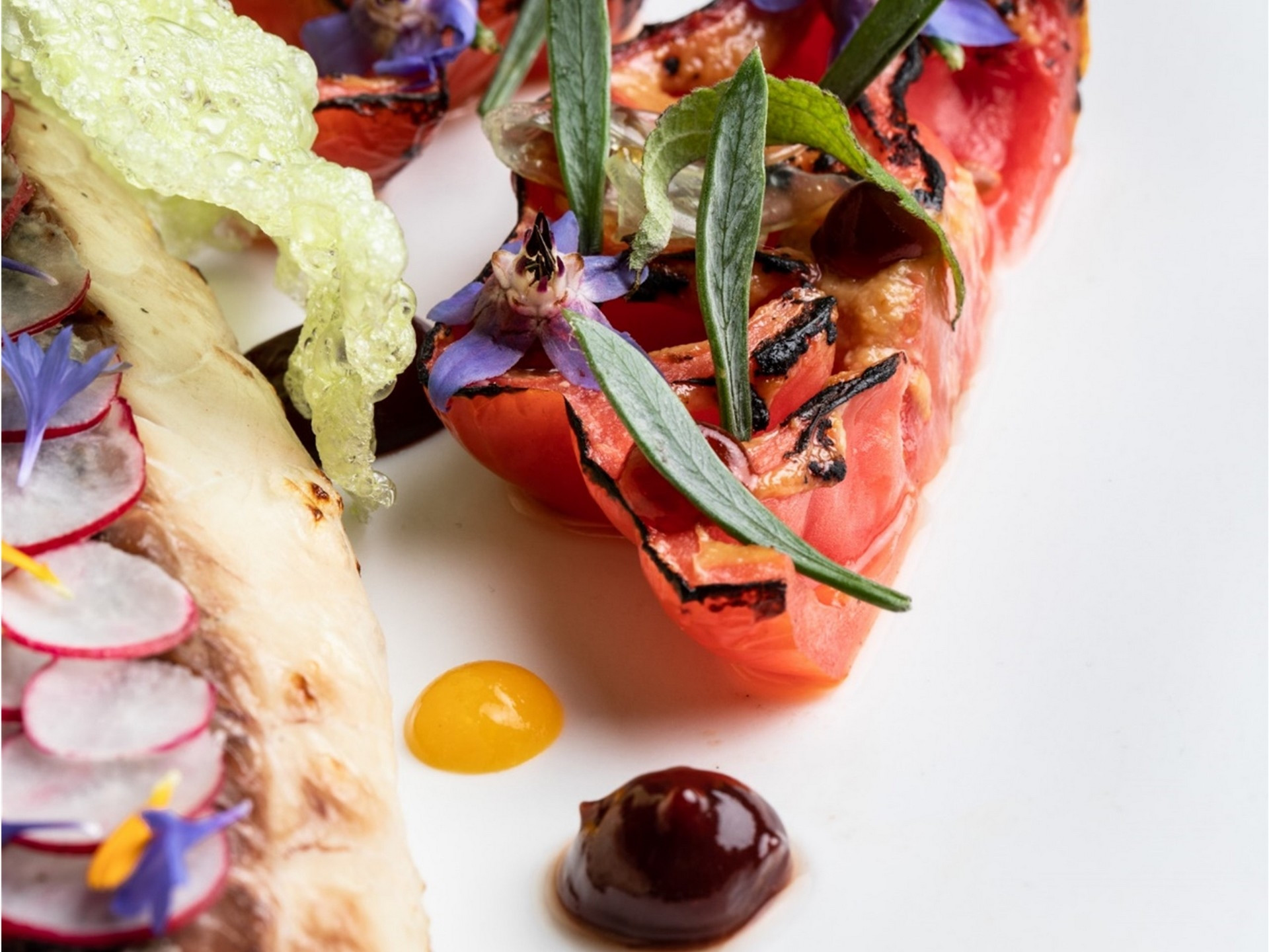 La Source - Château de la Gaude