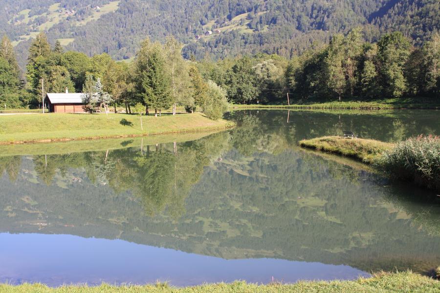 Etang de Marcôt en été