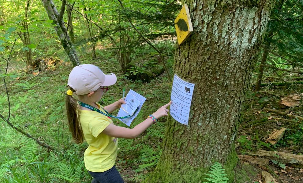 Parc Oyoxygène - Chasse au Trésor