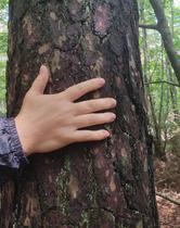 Plongez dans la nature – Animation sensorielle et créative pour enfants_Usson-en-Forez