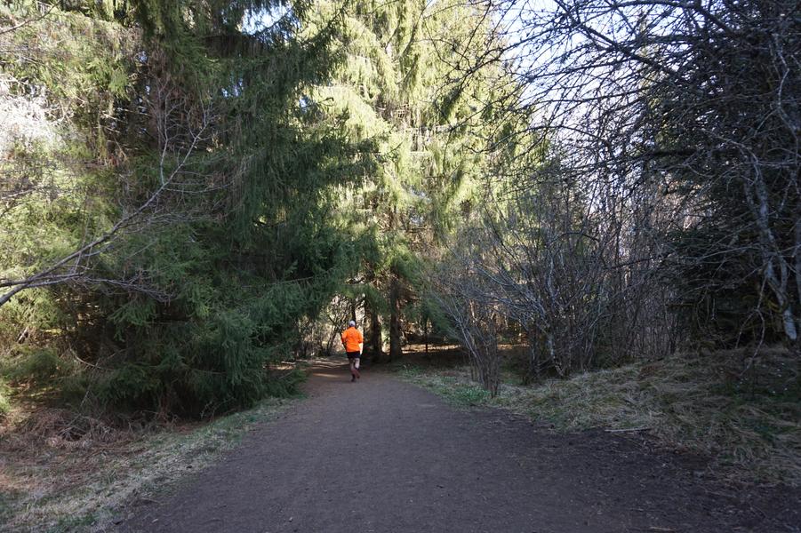 Au pied du puy de la Vache