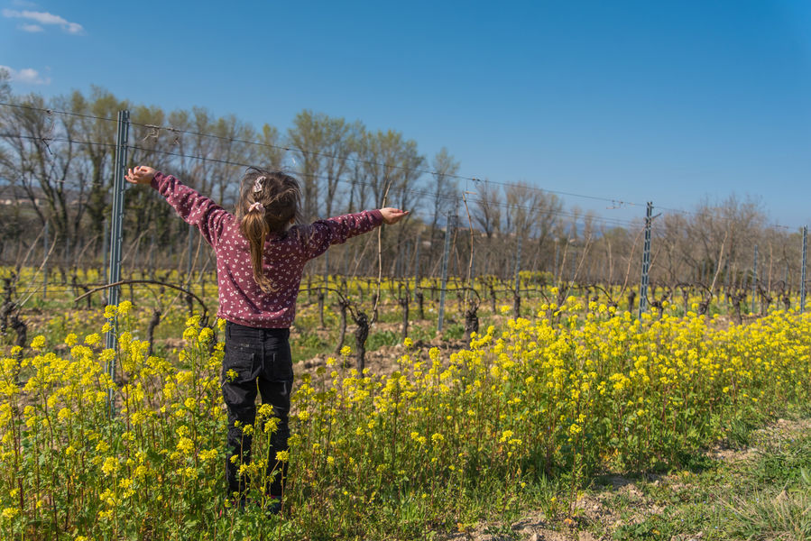 Randoland St Germain jeu de piste pour enfants