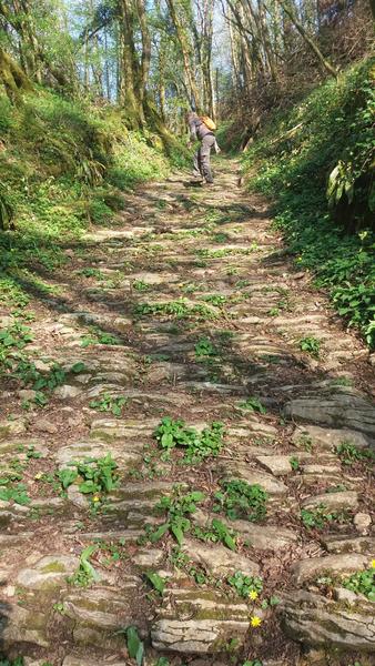 Ancienne voie dans le vallon entre Salavre et Poisoux