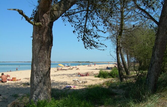 Plage de Trousse Chemise