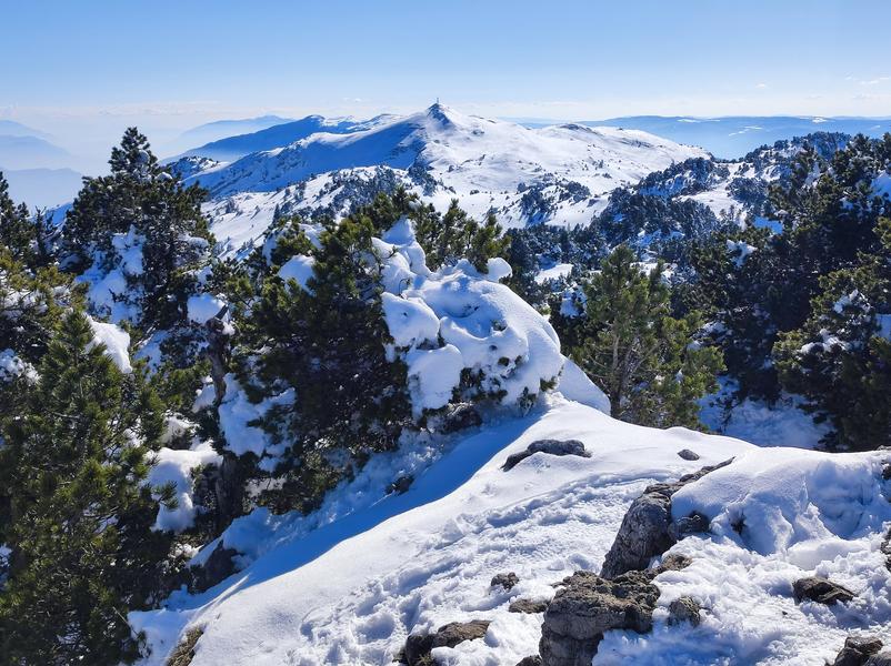 Sentier raquettes de Lélex au Crêt de la Neige_Lélex