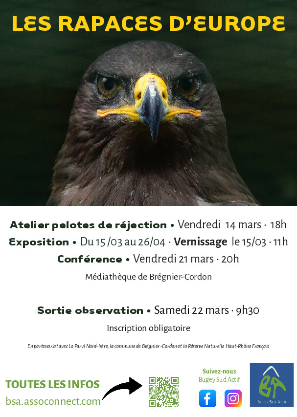 Atelier, conférence et sortie d'observation sur les Rapaces d'Europe_Brégnier-Cordon