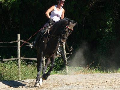 Les écuries du Regain