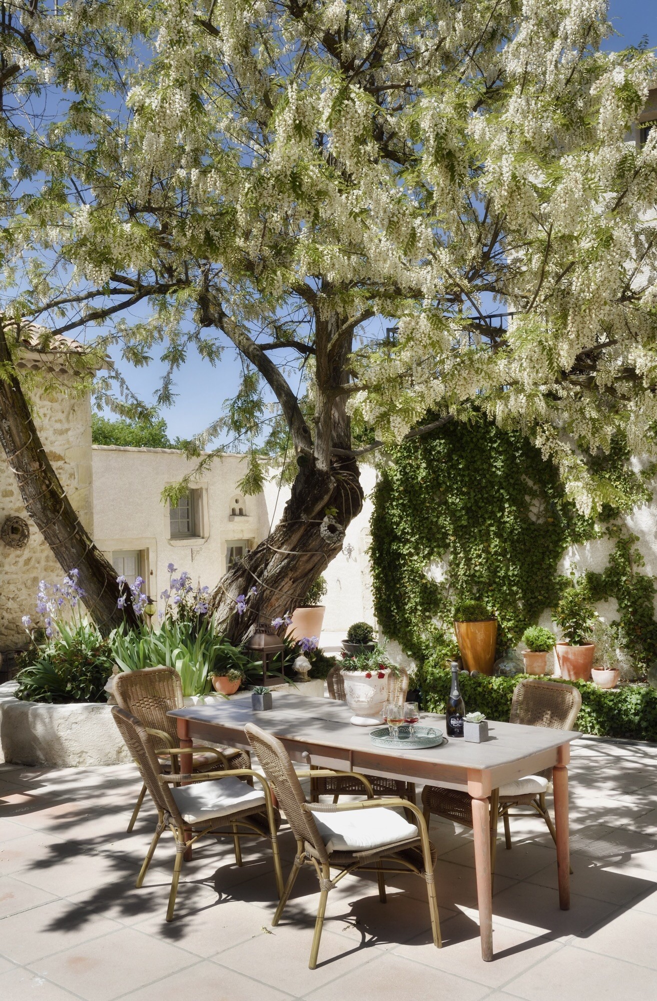Cour ombragée - Hôtel Domaine le Bois des Dames