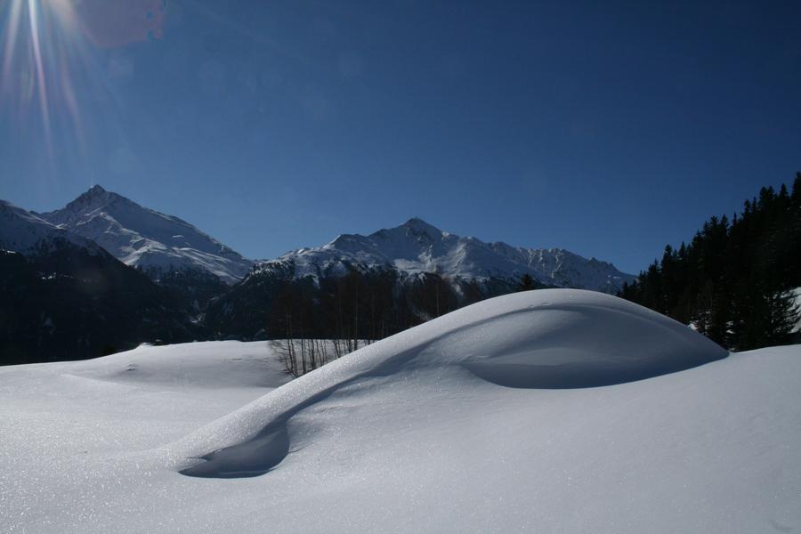 Sortie raquettes - Évasion hivernale entre rivière et forêt_Val-Cenis