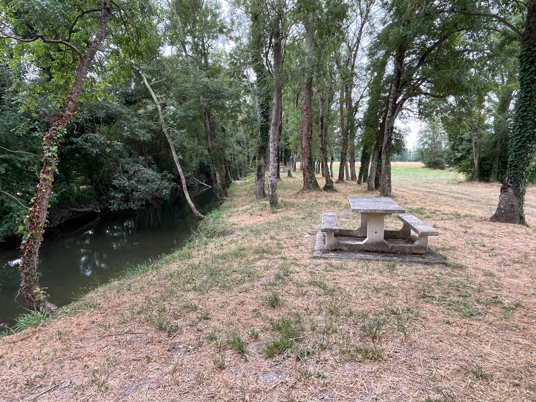 Aire de piquenique les Guédards