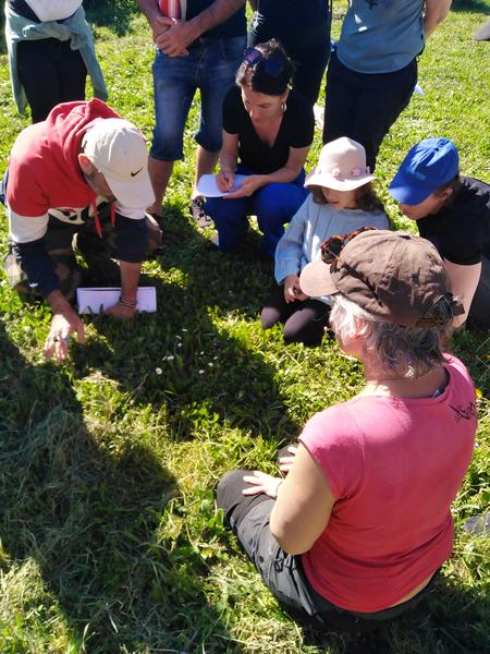 Balade botanique et atelier avec La magie des plantes_Tournon-sur-Rhône