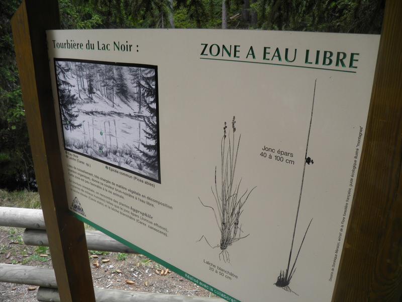 Tourbière du Lac Noir