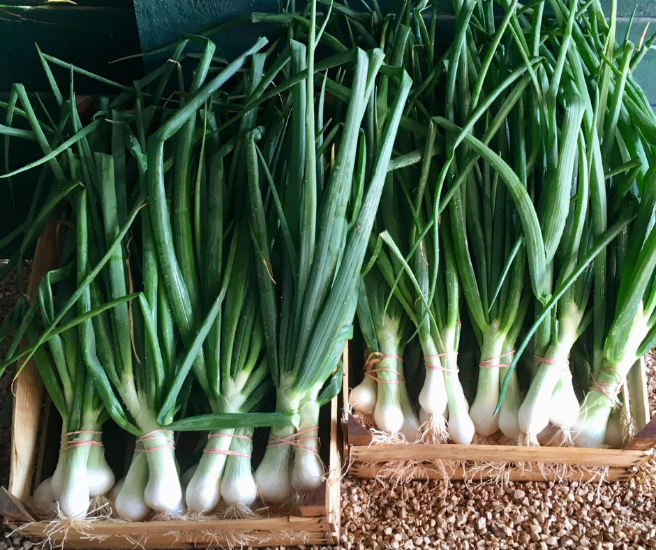 Le Petit Paysan — photo 2