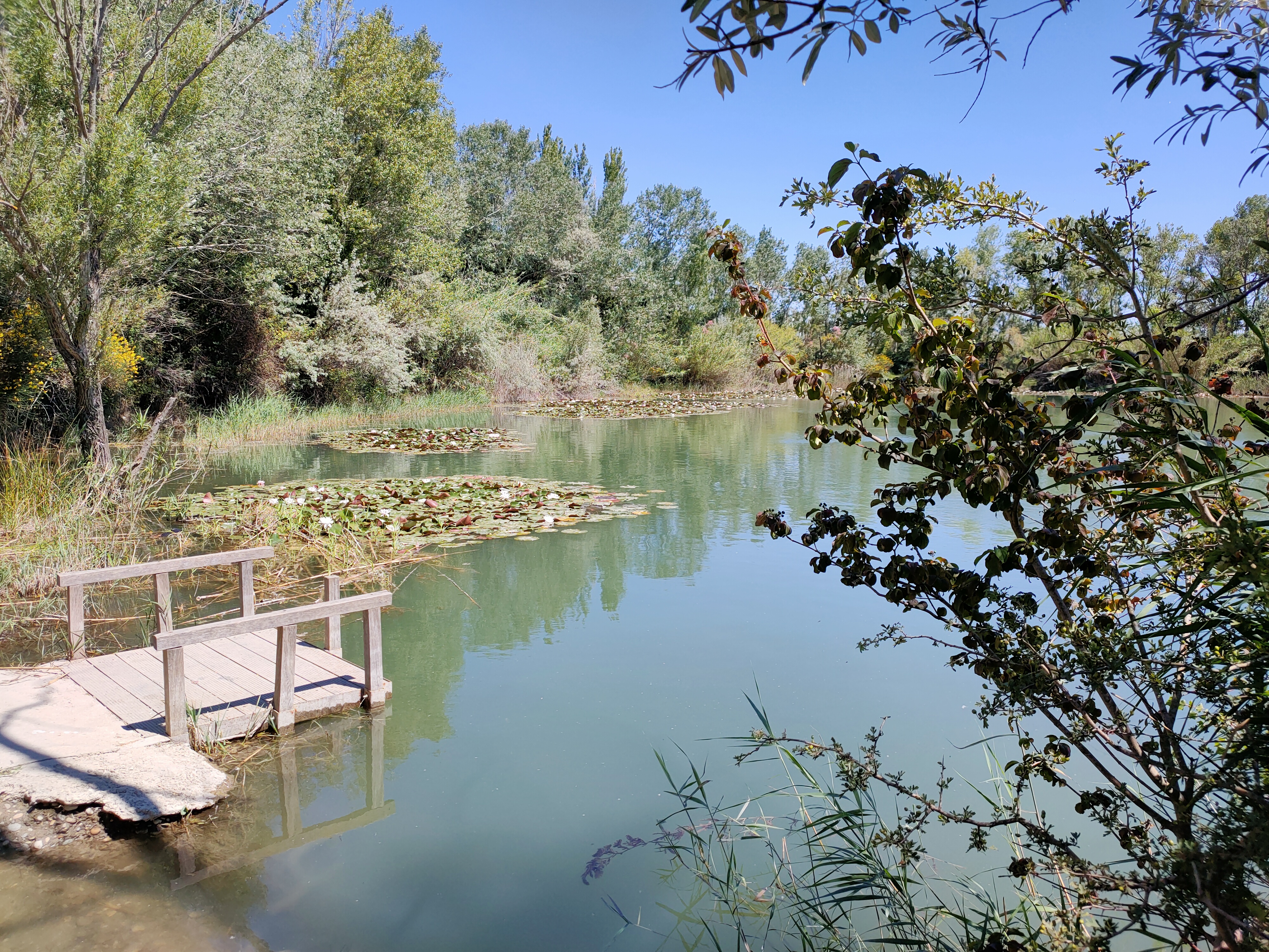 Noves au fil de l'eau