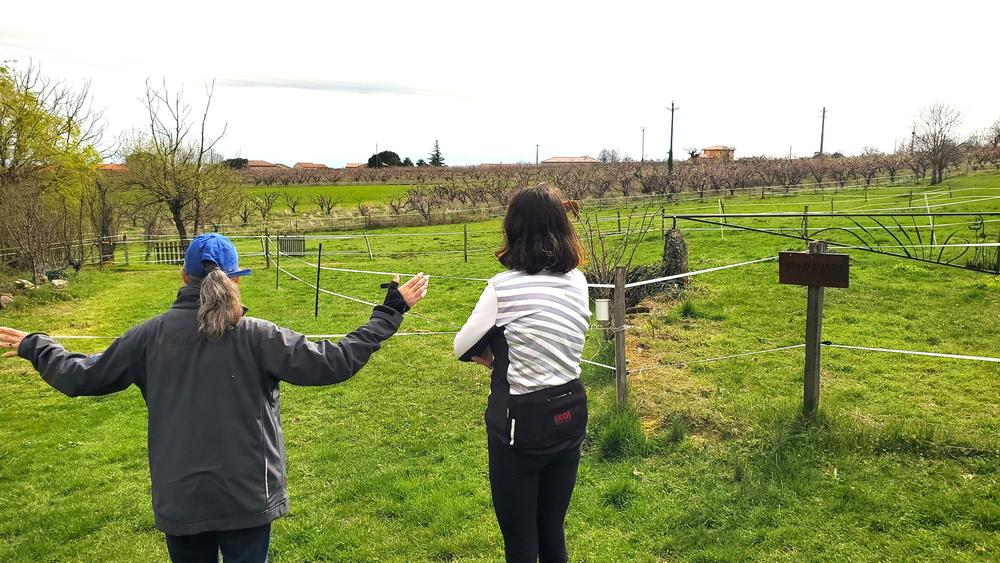 Séjour vélo en famille  - Au fil des routes secrètes_Saint-Jeure-d'Ay