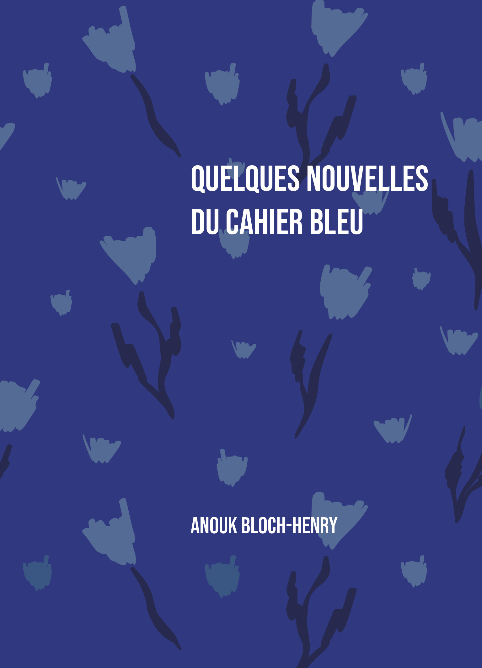 Rencontre - Quelques nouvelles du Cahier Bleu avec Anouk Bloch-Henry