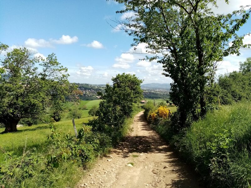 Balade en Vallons Messimy