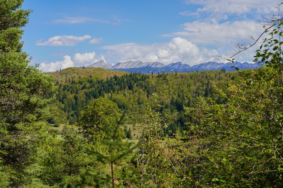 Vue sur la forêt et les montagnes du Vercors