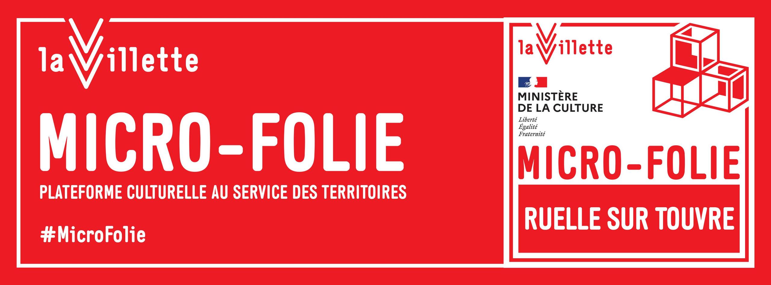 Micro Folie # Création d'animaux en boîte à oeuf