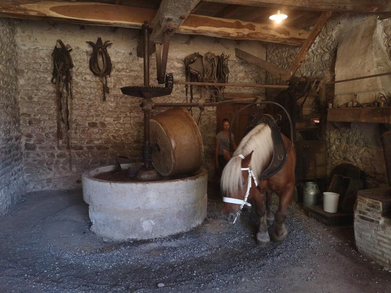 Visite libre de l'huilerie du village