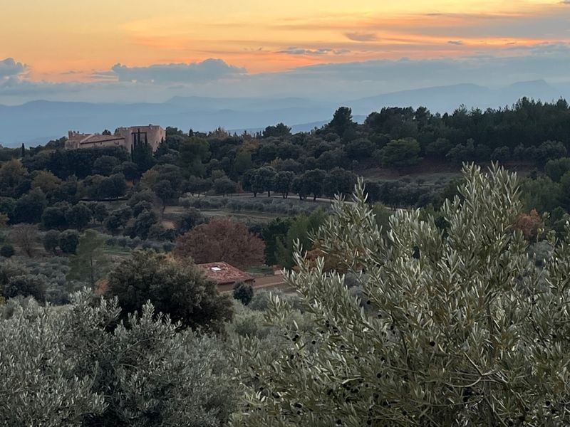 Oliveraie de Taurenne