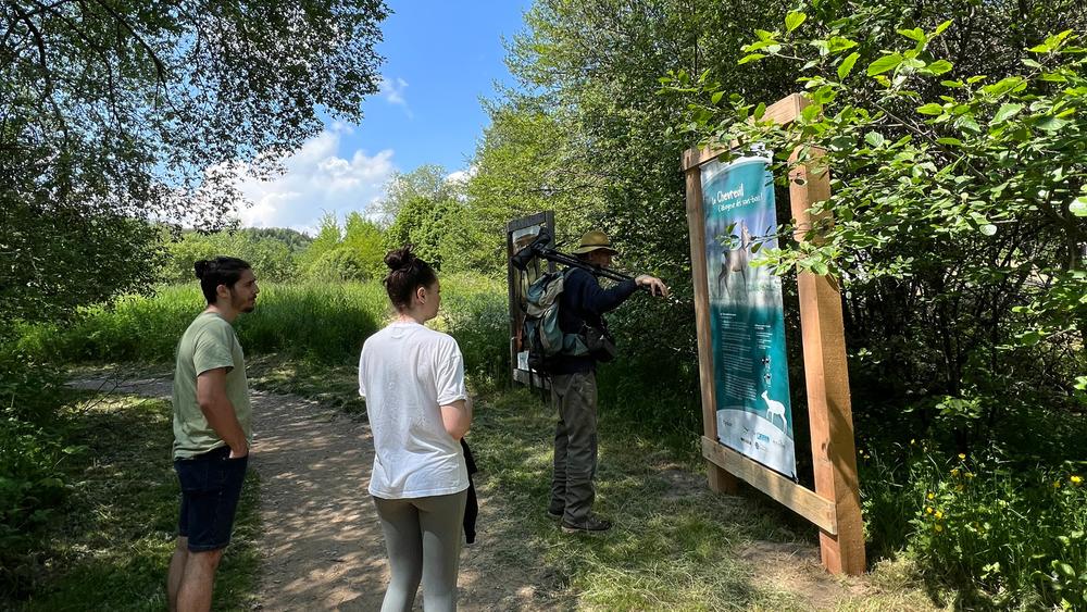 Sortie découverte de la biodiversité au lac d'Aydat | Pavillon Bleu
