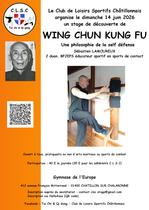 Wing Chun Kung Fu