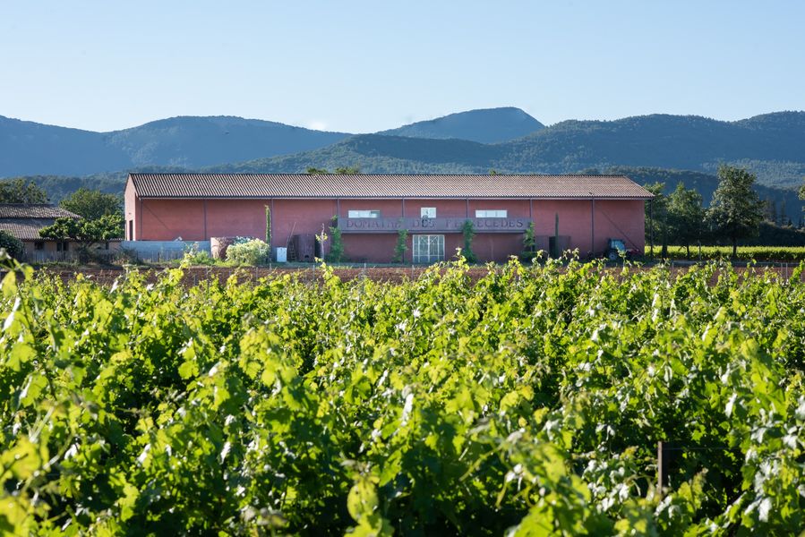 Initiation au cycle de la vigne pour les enfants et initiation à la dégustation pour les adultes au Domaine de Peirecèdes