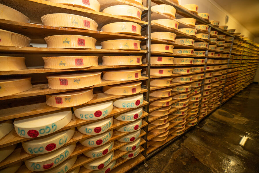 Reblochons de Bogève