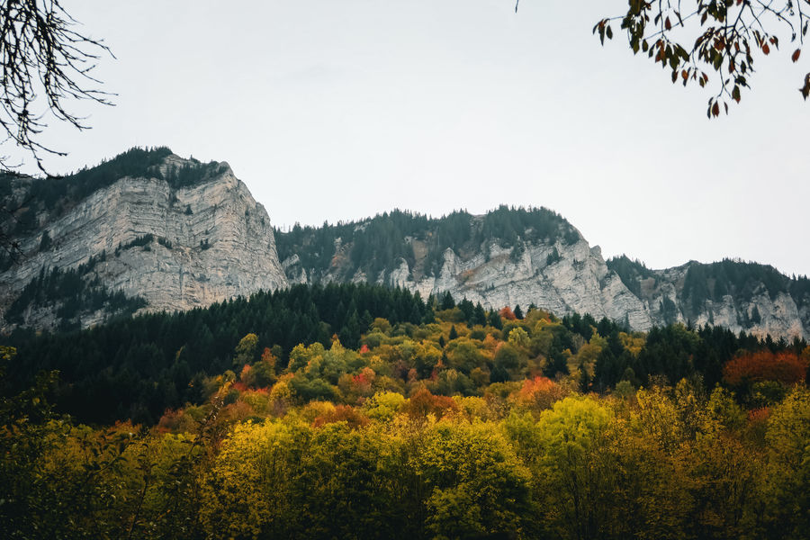 Promenade à Thollon-les-Mémises