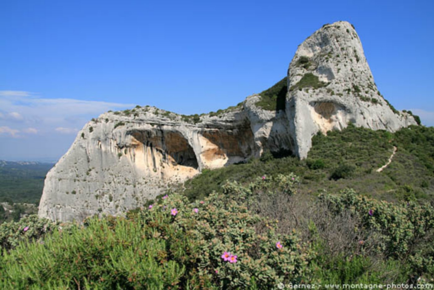 Chato Forme - photo 5