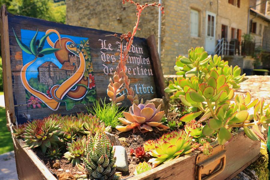 Vertrieu, cité aux deux châteaux - à une heure de Lyon - Nord-Isère - Balcons du Dauphiné