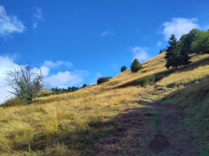 Sentier de la Croix - randonnée depuis Villard-Reculas_Villard-Reculas