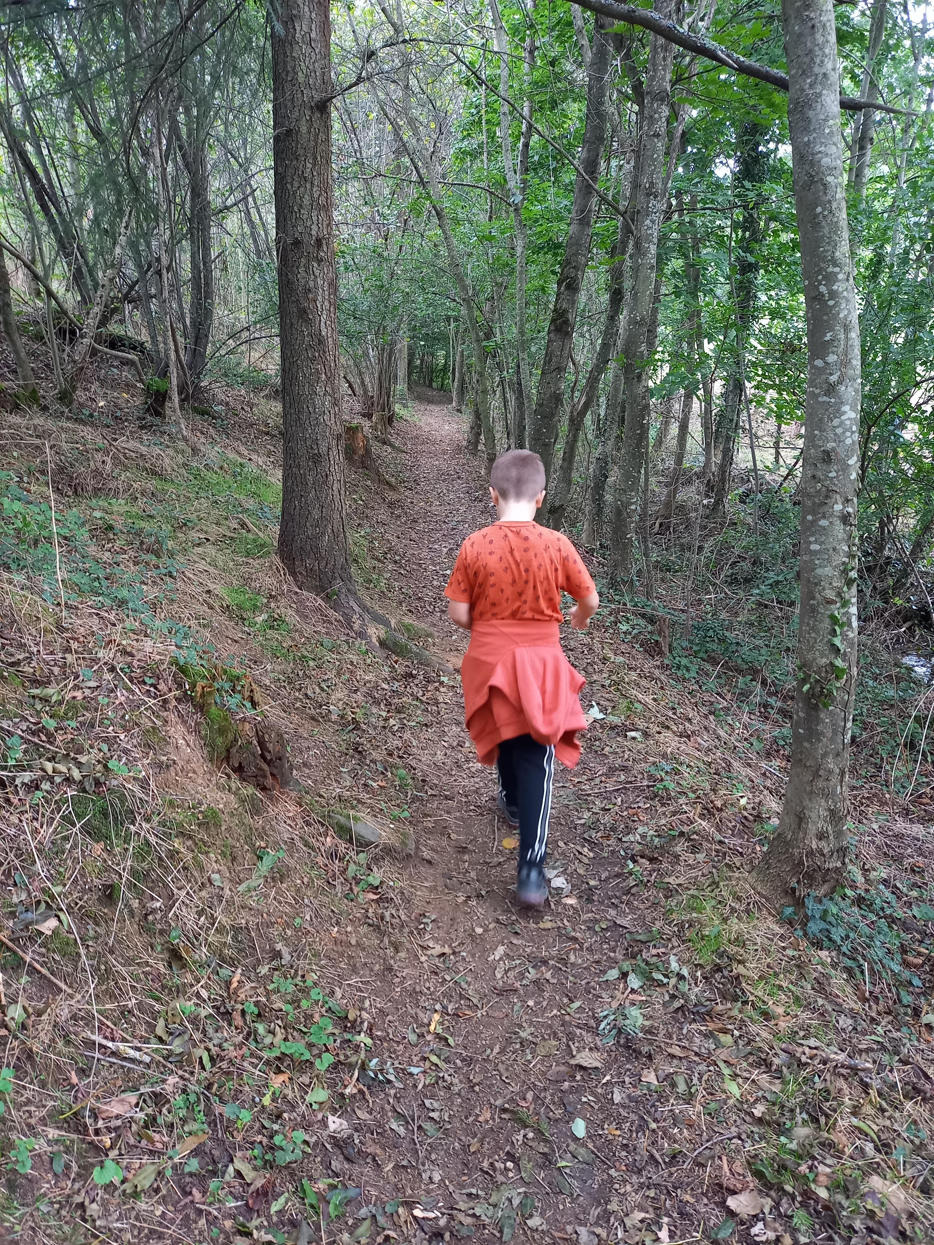 Animation familiale à la forêt du Grandbeau_Saint-Alban-d'Ay
