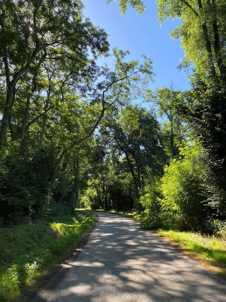 Passage ombragé - Les Echets