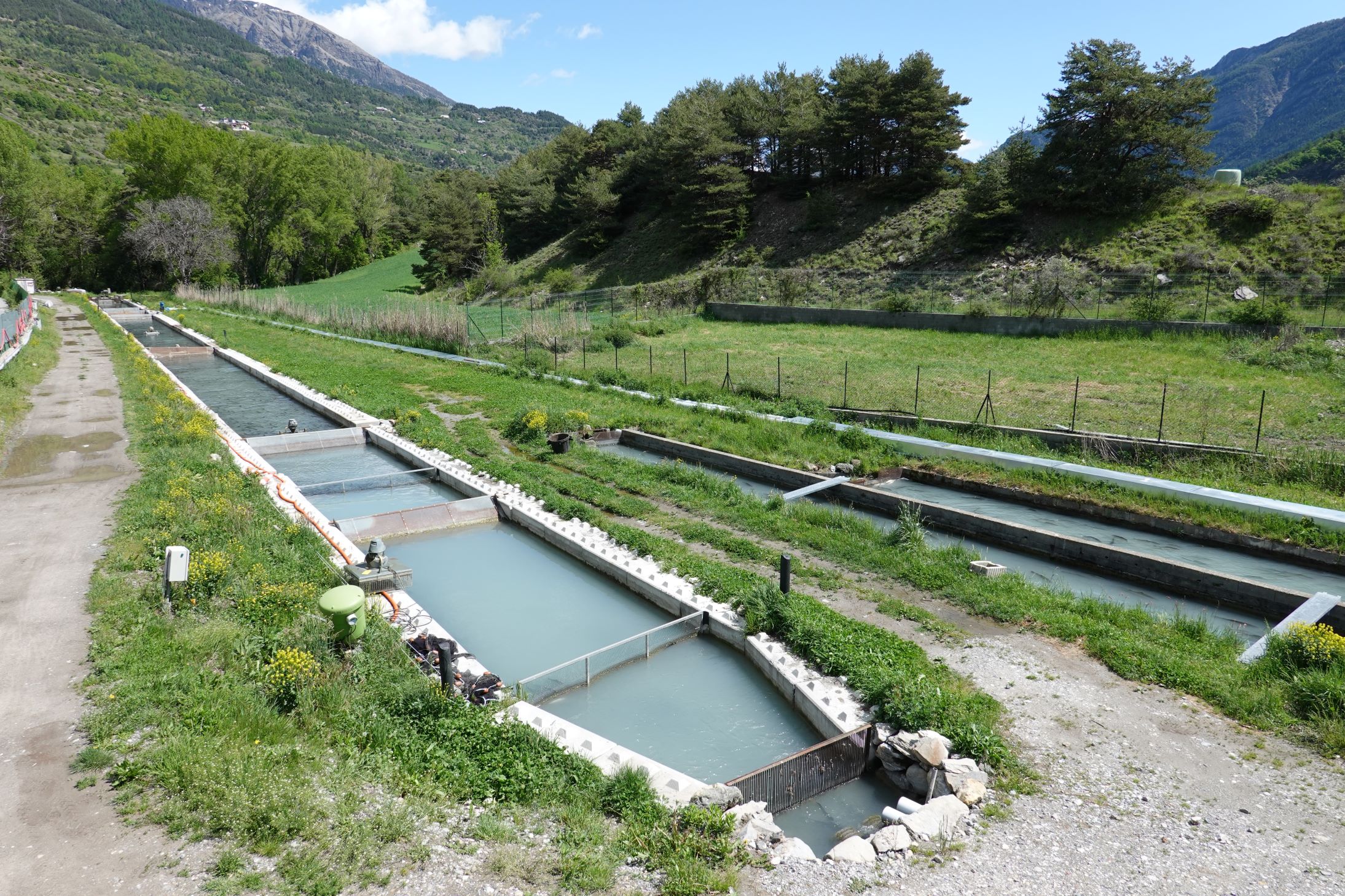 Pisciculture des Ecrins CHÂTEAUROUX-LES-ALPES