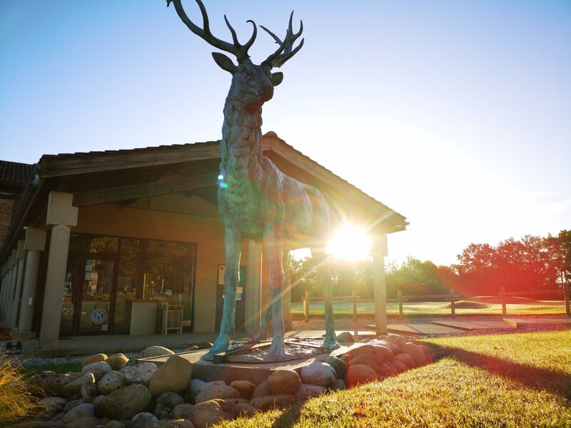 Hotel de la Sorelle - Villette sur Ain