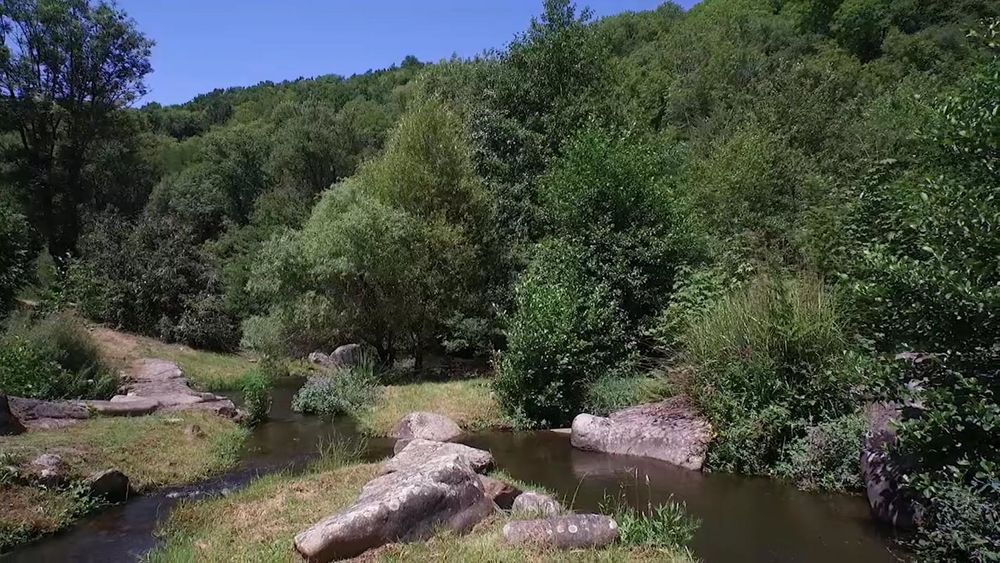 La rivière en bas des gîtes