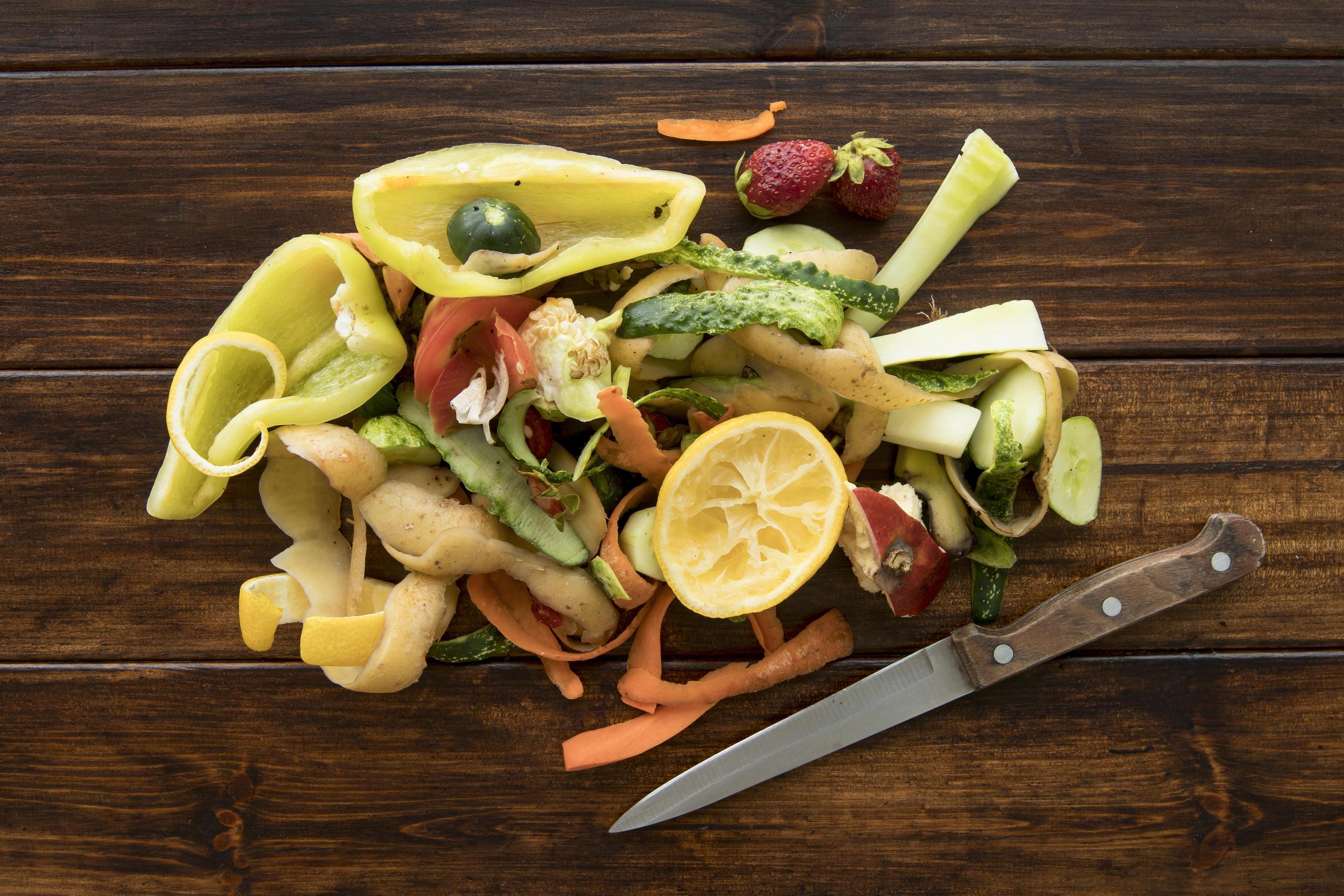 Atelier comment réutiliser ses déchets de table - Terre d'éveils